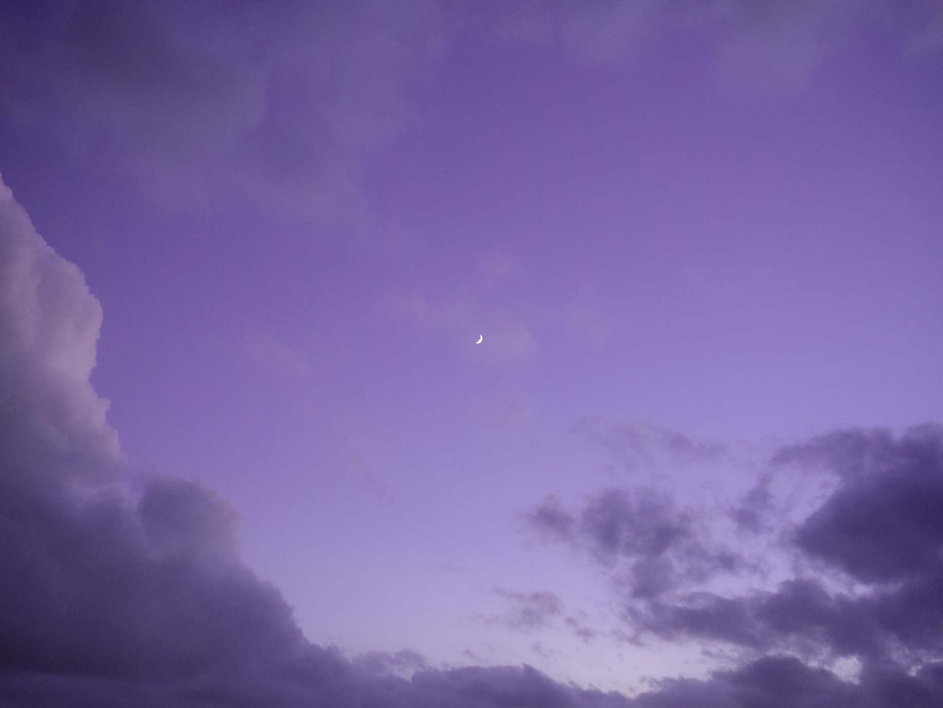 The Crescent Moon Across the Purple Sky 